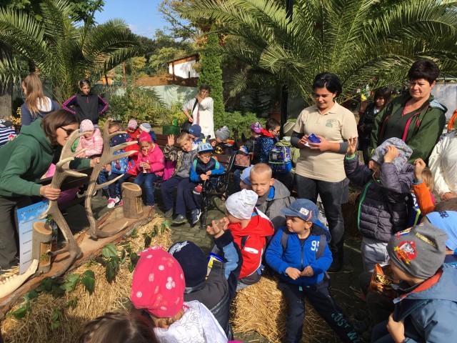 Ragyogó napsütésben zajlott az Állatok Világnapja! cikk kiemelő képe