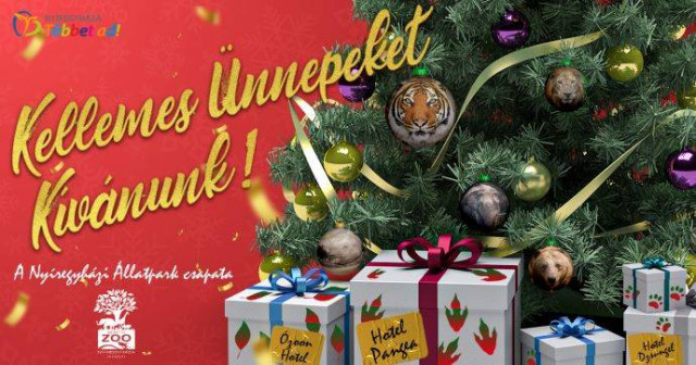 Kellemes karácsonyi ünnepeket kívánunk! cikk kiemelő képe