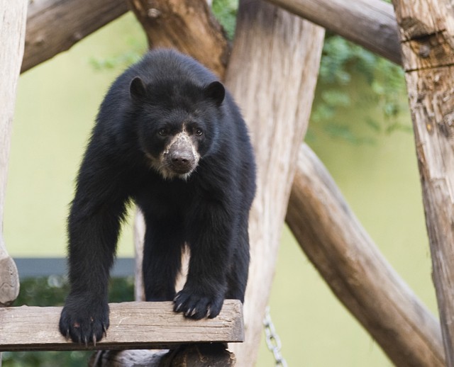Hamarosan várnak rád az Andok kalandok! cikk kiemelő képe