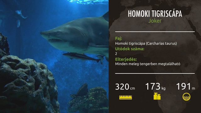 cikk kiemelő képe