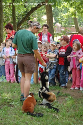 Gyermeknapon is vár rád az Állatpark! cikk kiemelő képe