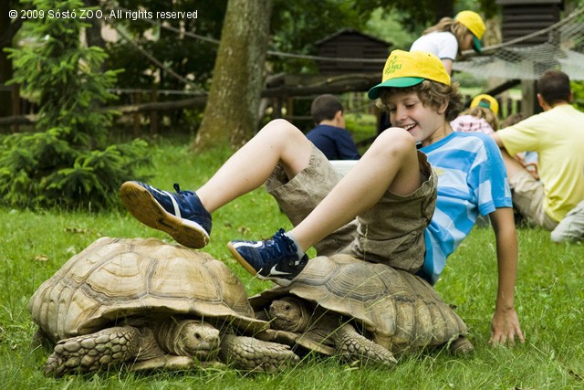 2010. május 3-tól lehet jelentkezni a ZOO-SULIba! cikk kiemelő képe