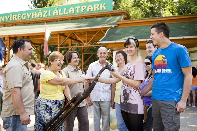 Már 400.000 látogató! cikk kiemelő képe