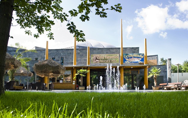 Díjat nyert a Zöld Piramis! cikk kiemelő képe