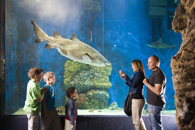 Állatparkunk turisztikai sikere cikk kiemelő képe
