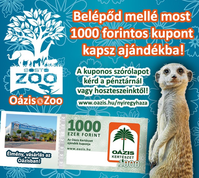 Oázis Ajándékkupon a jegy mellé! cikk kiemelő képe