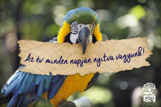 Különleges programok augusztus 20-án cikk kiemelő képe