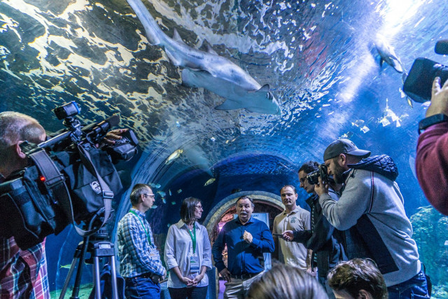 Huszonhárom éves fennállásnak legsikeresebb szezonját zárta idén a Nyíregyházi Állatpark cikk kiemelő képe