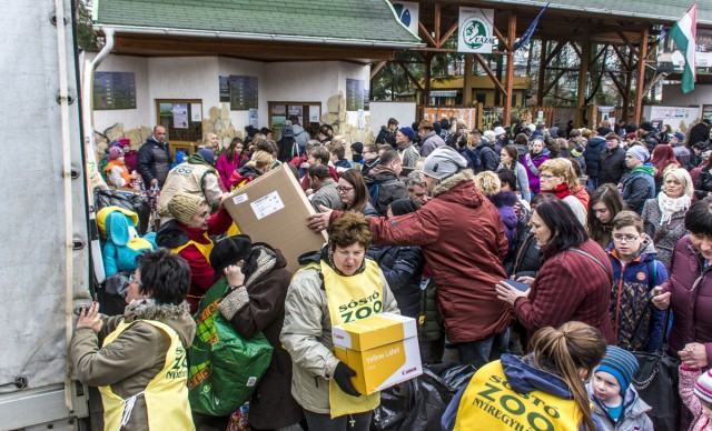 35 teherautónyi ajándékot gyűjtött  össze  Állatparkunk a mai jótékonysági napján!   cikk kiemelő képe