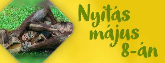 Május 8-tól újra várjuk vendégeinket cikk kiemelő képe