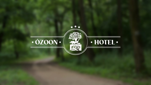 Születésnapi akció az Ózoon Hotelban cikk kiemelő képe