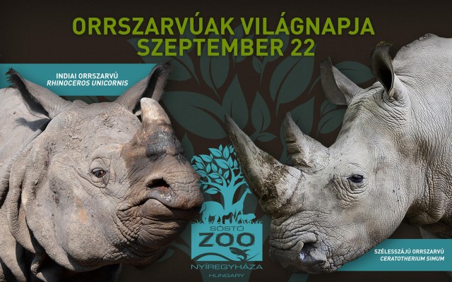 Orrszarvúak Világnapja - szeptember 22. cikk kiemelő képe