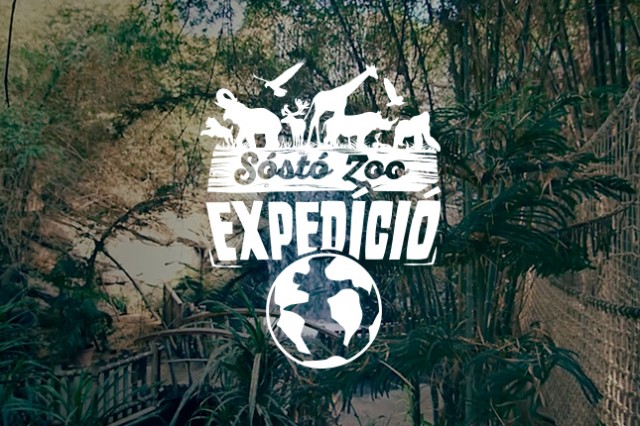 Egzotikus utazást nyerhetsz! cikk kiemelő képe